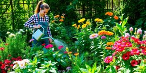 Gardener watering plants in a sunny, lush garden.